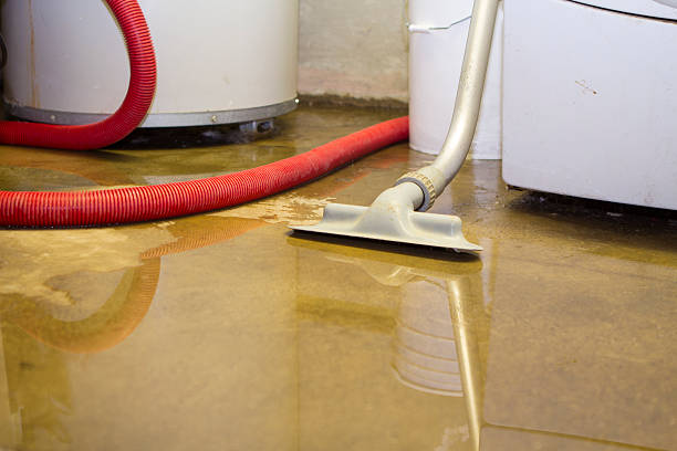 Best Mold removal after water damage  in Pelham, GA