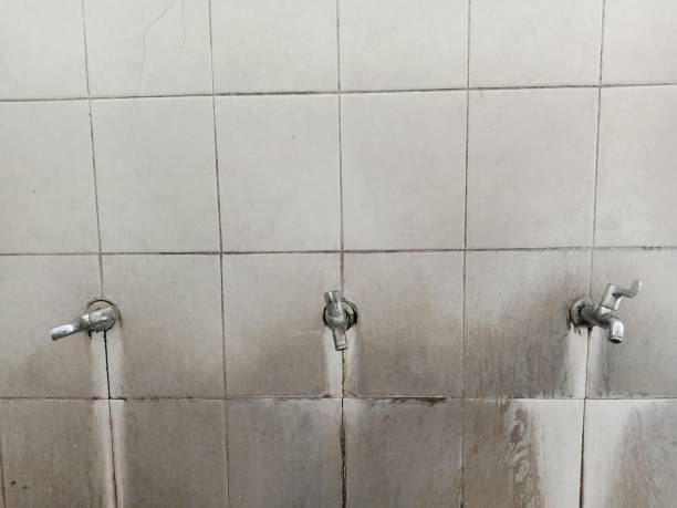 Best Ceiling water damage repair  in Pelham, GA