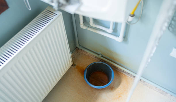 Best Local water damage restoration  in Pelham, GA