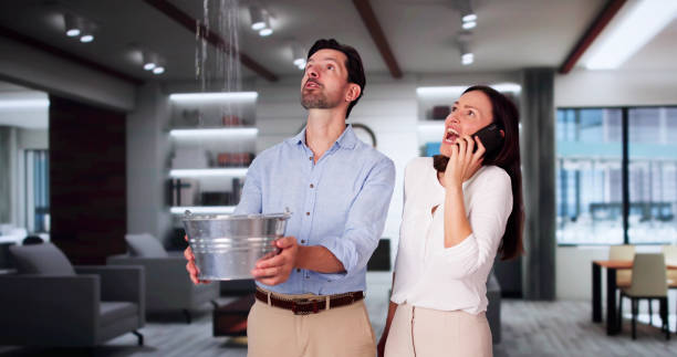 Best 24-hour water damage restoration  in Pelham, GA