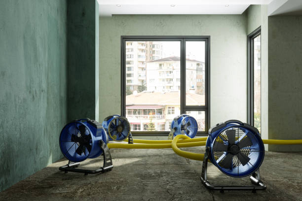 Best Emergency water damage restoration  in Pelham, GA